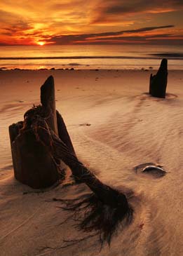 Assateague Beach Sunrise - Assateague Island, Virginia