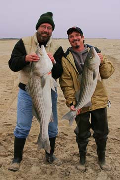 Beau and Steve with Striped Bass - Assateague Island, Virginia