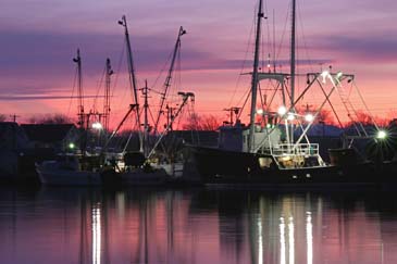Fishing Boats at Sunrise - Chincoteague Channel - Chincoteague Island, Virginia