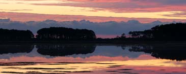 Sunrise - Wildlife Loop - Chincoteague Wildlife Refuge, Virginia