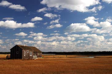 Cool Little House - Piney Island - Chincoteague Island, Virginia