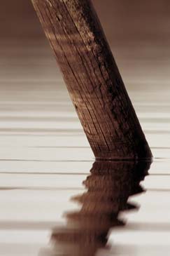 Reflection of Old Piling - Chincoteague Wildlife Refuge, Virginia