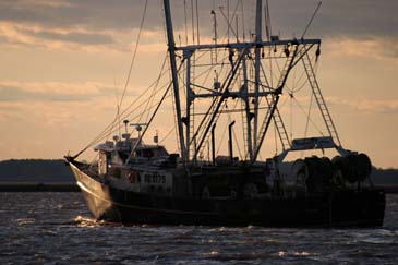 Fishing Boat Heading out to Sea - Chincoteague Island, Virginia