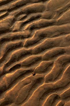 Ripples in Sand - Chincoteague Wildlife Refuge, Virginia