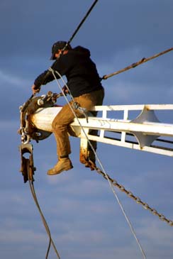 Working Fisherman - Chincoteague Island, Virginia