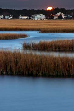 Moonset - Chincoteague Island, Virginia