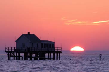 Some Structure in Tom's Cove - Chincoteague Wildlife Refuge, Virginia