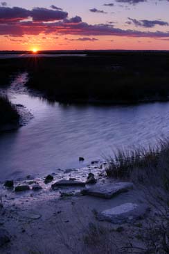 Sunset on Tom's Cove - Chincoteague Wildlife Refuge, Virginia