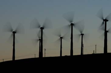 Windmills - San Ramon, California