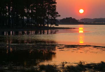 Spring Sunrise at Chincoteague Wildlife Refuge - Assateague Island, Virginia