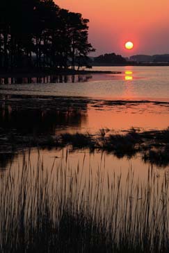 Chincoteague Wildlife Refuge Sunrise - Assateague Island, Virginia