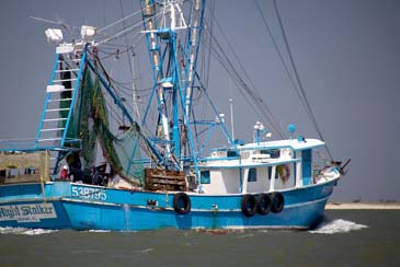 Commercial Trawler Returning to Port - Chincoteague Island, Virginia