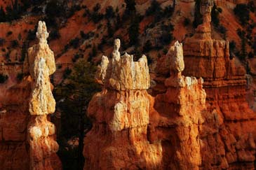 Hoodoos Lit by Late Afternoon Light - Bryce Canyon National Park, Utah