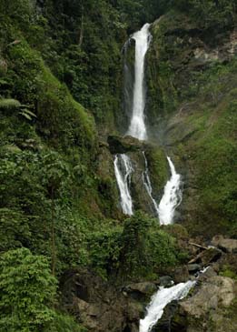 Roadside Waterfall - Ecuador