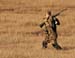 Duck Hunter - Chincoteague Island, Virginia