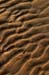 Ripples in Sand - Chincoteague Wildlife Refuge, Virginia