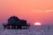 Some Structure in Tom's Cove - Chincoteague Wildlife Refuge, Virginia