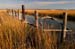 Sunken Boat - Andrew's Landing Gut - Chincoteague Island, Virginia