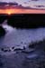 Sunset on Tom's Cove - Chincoteague Wildlife Refuge, Virginia