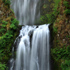 Multnomah Falls - Columbia Gorge Scenic Area, Oregon